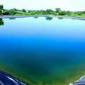Best Pond Liner Solutions For Rainwater Harvesting In Agriculture - Yooil