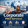 Corporate PRO Services UAE