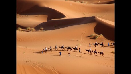 New York, Business, Explore Golden Dunes And Sahara Desert In Morocco