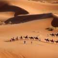 Explore Golden Dunes And Sahara Desert In Morocco