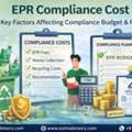 Managing EPR Compliance Cost For PIBOs | Exim Advisory