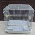 SAR 100,  Birds Cage - 2 Pieces