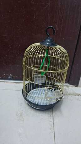 Al Wizarat, Pet Supplies, SAR 100,  Birds Cage - 2 Pieces