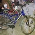 INR 10000,  2 Bicycle For Sale - 7093412022