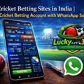 Premium Online Cricket ID Provider In India | LuckyBet365