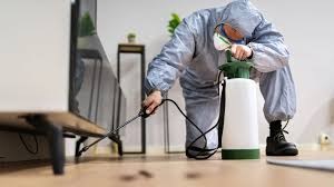 Brisbane, Pest Control, Professional Termite Control Service In Brighton
