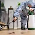 Professional Termite Control Service In Brighton