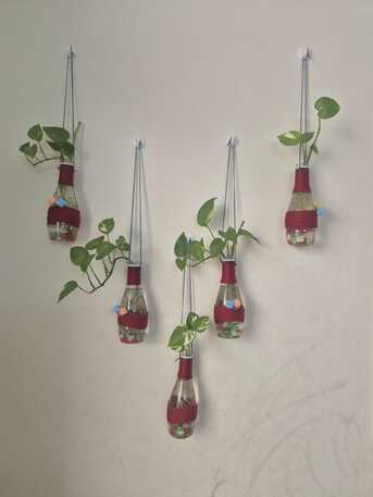 Umm Al Hassam, Farm & Garden, Plants, Dinning Table ,Nadar Gas Cylinder