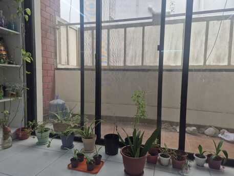 Umm Al Hassam, Farm & Garden, Plants, Dinning Table ,Nadar Gas Cylinder