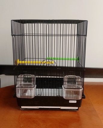 Riyadh, Pet Supplies, SAR 1000,  Australian Parrots & Cage