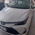 SAR 1600,  Corolla 2025, White, XLI 1.5cc, ODO 11,577 Km