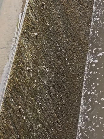 Taif, Jobs, Bangali, Indian, Pakistan Cleaning Labour Needed As Soon As Possible