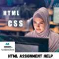 HTML Assignment Help &ndash; Expert Support For Web Development Tasks