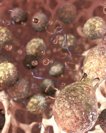 New York, Collectibles, Cellular Biology Inspired Art