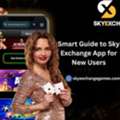 Smart Guide To Sky Exchange App For New Users