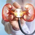 Nephrology Hospital In Gujarat