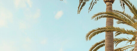 New York, Legal, Trusted Downey Estate Planning Lawyer | Secure Your Future With VZ Law