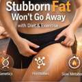 Why Stubborn Fat Doesn&rsquo;t Reduce With Diet & Exercise