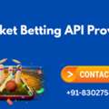 Cricket Betting API Provider