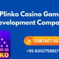 Plinko Casino Game Development Company