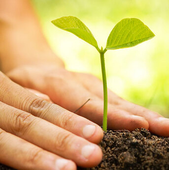 Haryana, Language Exchange, Agriculture Fertilizer Company In India Supplying Organic Soil Nutrients