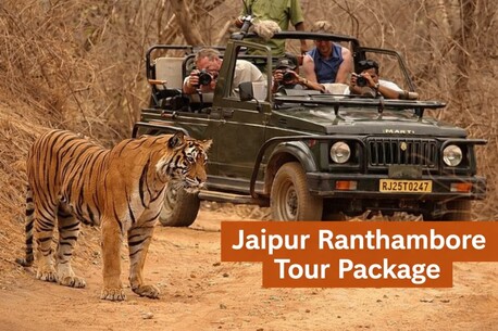 Jaipur, Travel, Elejungle Offers The Best Jaipur Ranthambore Tour Package Today