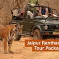Elejungle Offers The Best Jaipur Ranthambore Tour Package Today