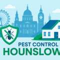Get Rid Of Fleas In Slough Fast | Affordable Pest Control Services