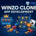Start Earning With Your Own WinZO Style Gaming App