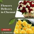 Flowers Delivery Online Chennai