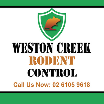 Sydney, Pest Control, Weston Creek Rodent Control