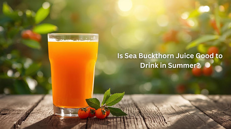 Mumbai, Health, Is Sea Buckthorn Juice Good To Drink In Summer?