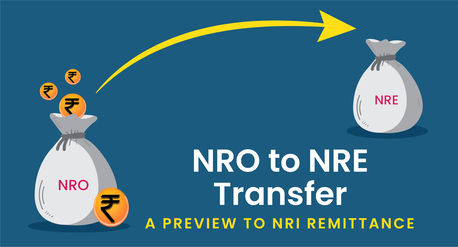 Navi Mumbai, Accounting, TRANSFERRING MONEY FROM NRO TO NRE