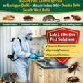 Get Rid Of Pests With Top Pest Control Service In Dwarka Delhi
