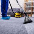 Professional Carpet Cleaners Gresham Oregon