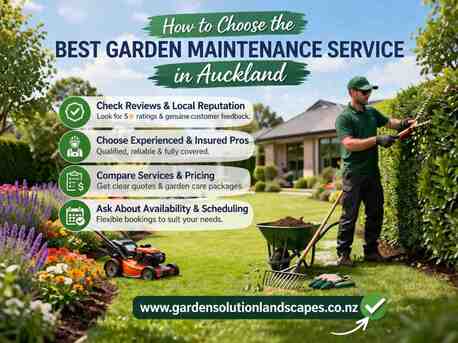 Auckland, Farm/Garden, How To Choose The Best Garden Maintenance Service In Auckland