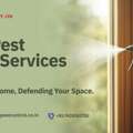 Smart Pest Control Services In Gurgaon