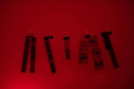 Los Angeles, Photography, Professional Film Development Services &ndash; Fast & Reliable