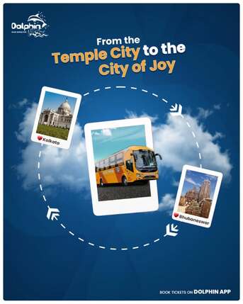 Mumbai, Health, Temple City To City Of Joy | Bus Service | Dolphin Tours