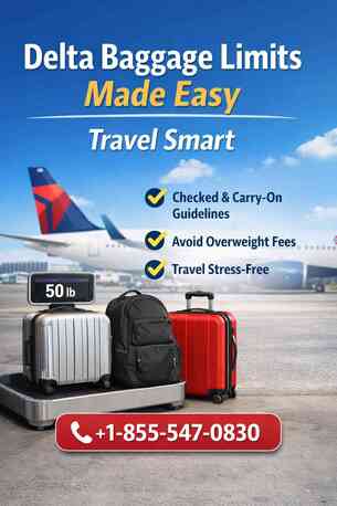 New York, Travel, Delta Baggage Limits Made Easy &ndash; Travel Smart