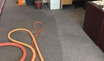 New York, Household, Carpet Cleaning Services In Bayview