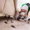 Reliable Termite Treatment Services Bilinga For Peace Of Mind