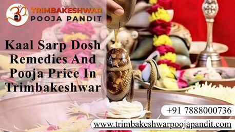 Mumbai, Career Counseling, Kaal Sarp Dosh Remedies And Pooja Price In Trimbakeshwar
