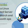 INR 7499,  Buy Linux Dedicated Server Before March End For Smooth Ops