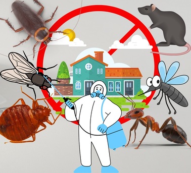 Brisbane, Pest Control, Expert Termite Treatment Services Arundel