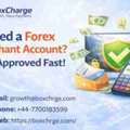 Forex Brokers: Stop Losing Clients Due To Payment Failures
