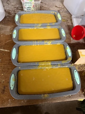 Berlin, Business, Imker Markus Habermehl