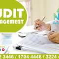 AUDIT MANAGEMENT