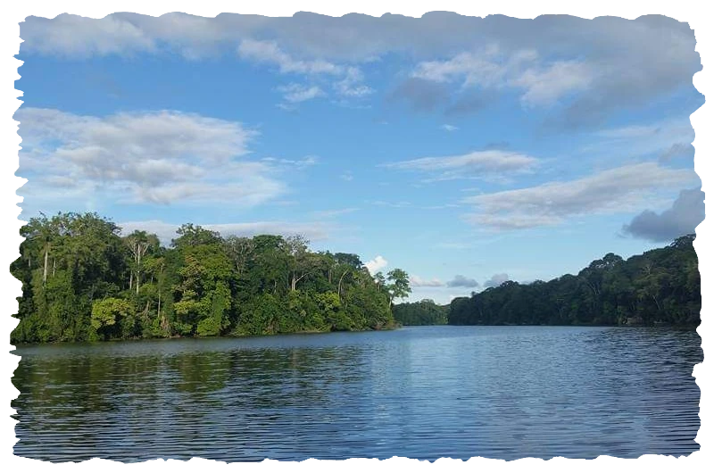 New York, Travel, Best Tambopata National Reserve Packages &ndash; Jungle Tours