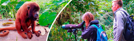 New York, Travel, Peru Adventure Tours &ndash; Amazon Rainforest & Machu Picchu